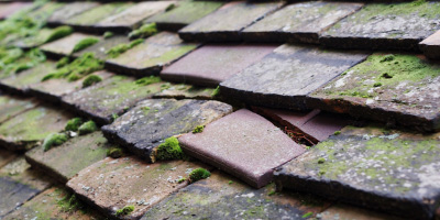 Laindon roof repair costs